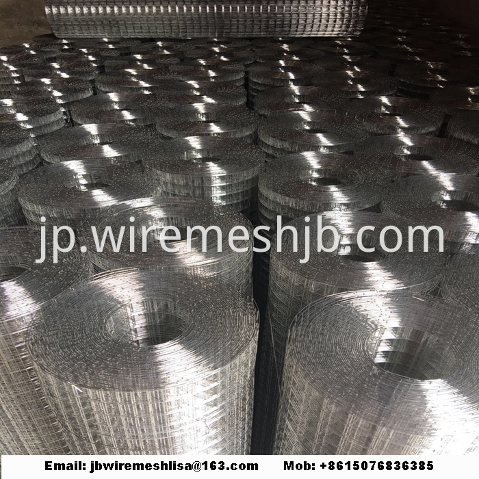 Welded Wire Mesh Galvanized Welded Wire Mesh Roll